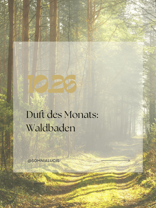 Duft des Monats: Waldbaden – Die Wissenschaft hinter besonderen Düften - Somnia Lucis