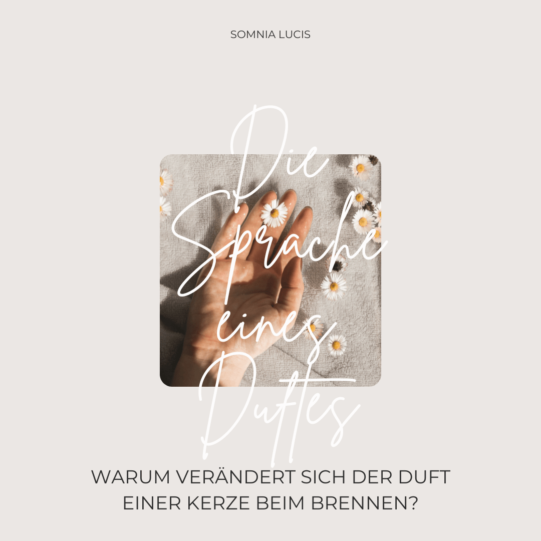 Duftwissen: Die Sprache eines Duftes - Somnia Lucis