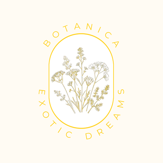 BOTANICA exotic dreams - Ylang Ylang Duftwachs