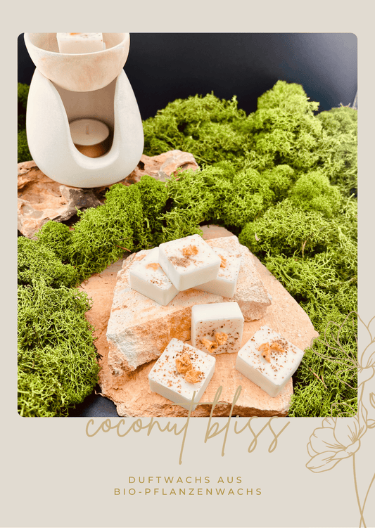 BOTANICA coconut bliss - Kokosnuss Duftwachs - Somnia Lucis
