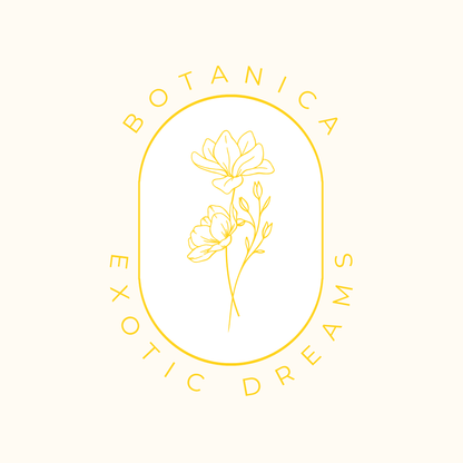 BOTANICA exotic dreams - Ylang Ylang Duftwachs - Somnia Lucis