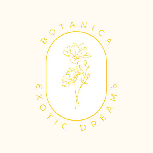 BOTANICA exotic dreams - Ylang Ylang Duftwachs - Somnia Lucis
