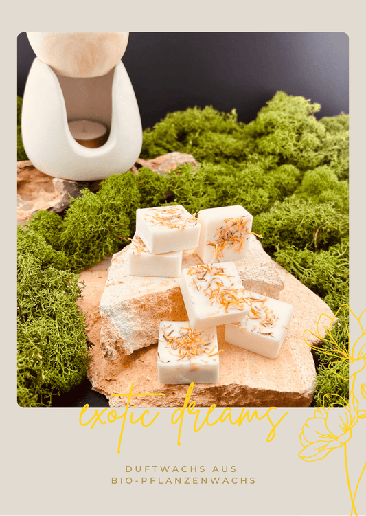 BOTANICA exotic dreams - Ylang Ylang Duftwachs - Somnia Lucis