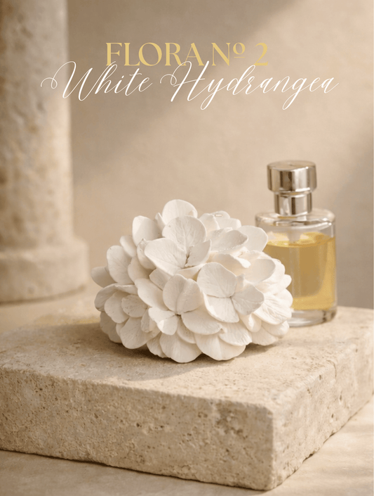 FLORA Nº 2 White Hydrangea - Somnia Lucis