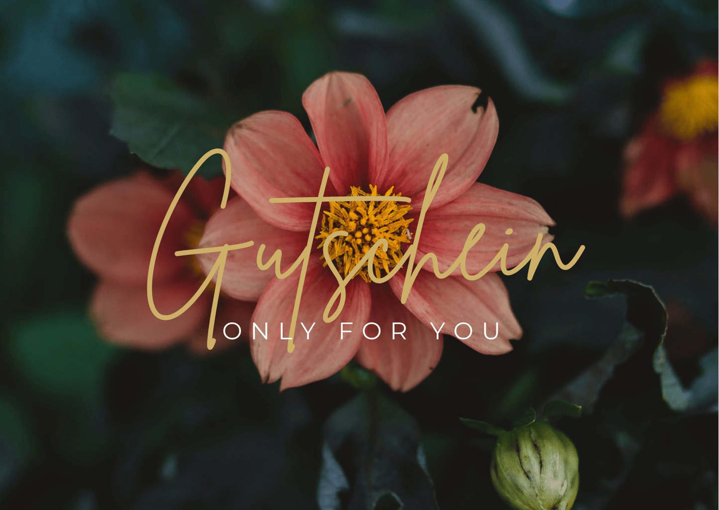Gutschein - Geschenkkarte - Postversand - Somnia Lucis