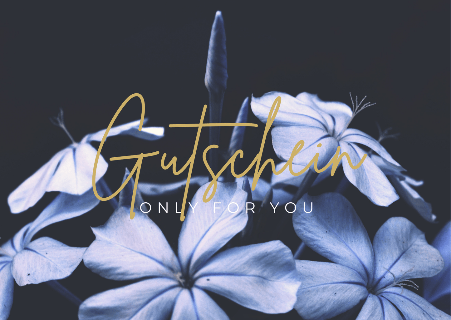 Gutschein - Geschenkkarte - Postversand - Somnia Lucis